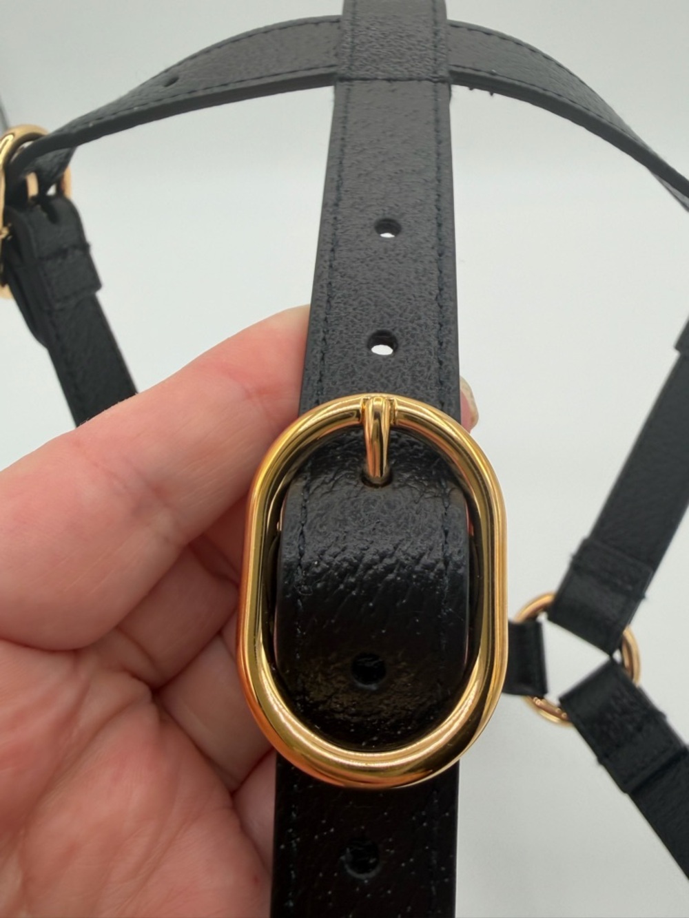 GUCCI Demetra Leather Dog Harness Black Gold Medium Excellent/Like New 🦮 Luxury. - Picture 10 of 12